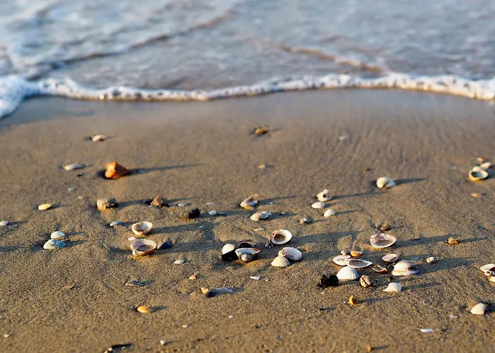 Apartamento In 54670